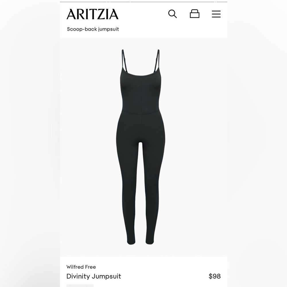 Aritzia Divinity Jumpsuit